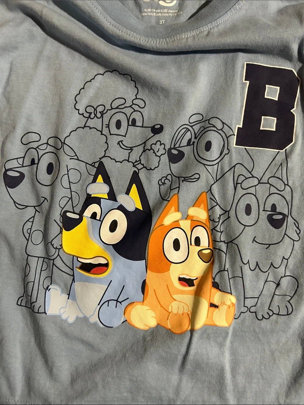 Bluey toddler top